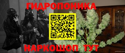 герыч Кингисепп